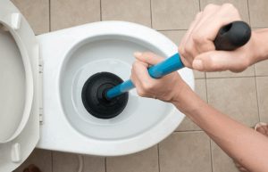 đang cọ rửa bồn cầu bằng chổi toilet. đang cọ rửa bồn cầu bằng chổi toilet.