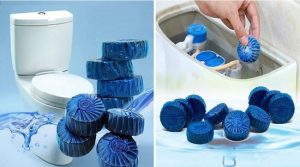 nenmuavienthongboncauodau nenmuavienthongboncauodau