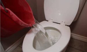 photo 2 17007075715731963686071 photo 2 17007075715731963686071